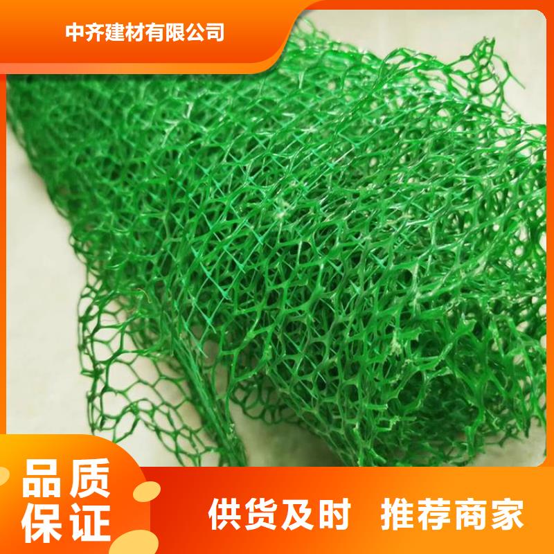 三維植被網土工席墊品質保障價格合理