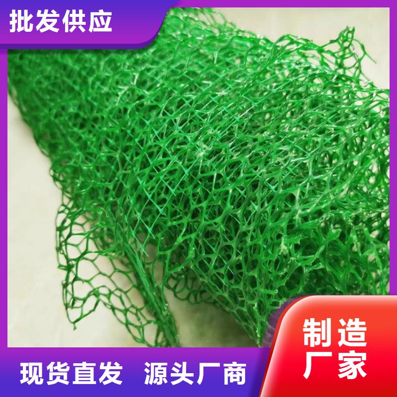 三維植被網滌綸土工格柵廠家規格全