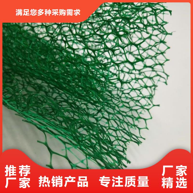 三維植被網【滌綸格柵】精工制作