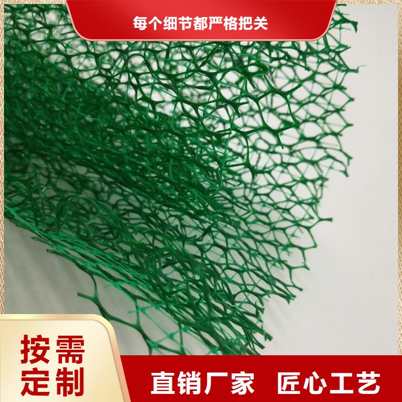 三维植被网三维土工网垫客户满意度高