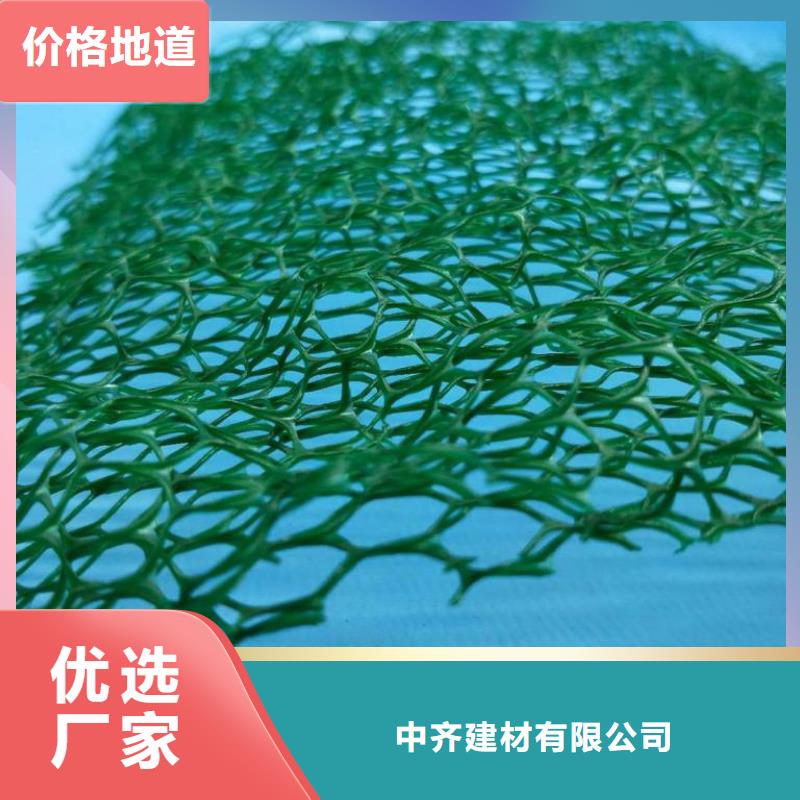 三維植被網【復合土工膜】廠家批發價