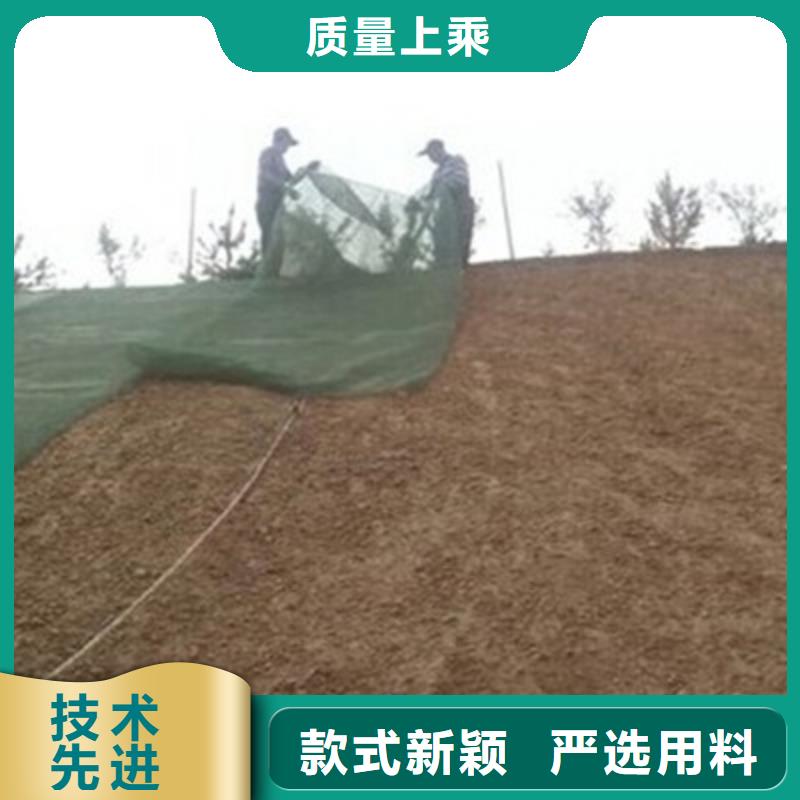 三維植被網長絲土工布打造好品質