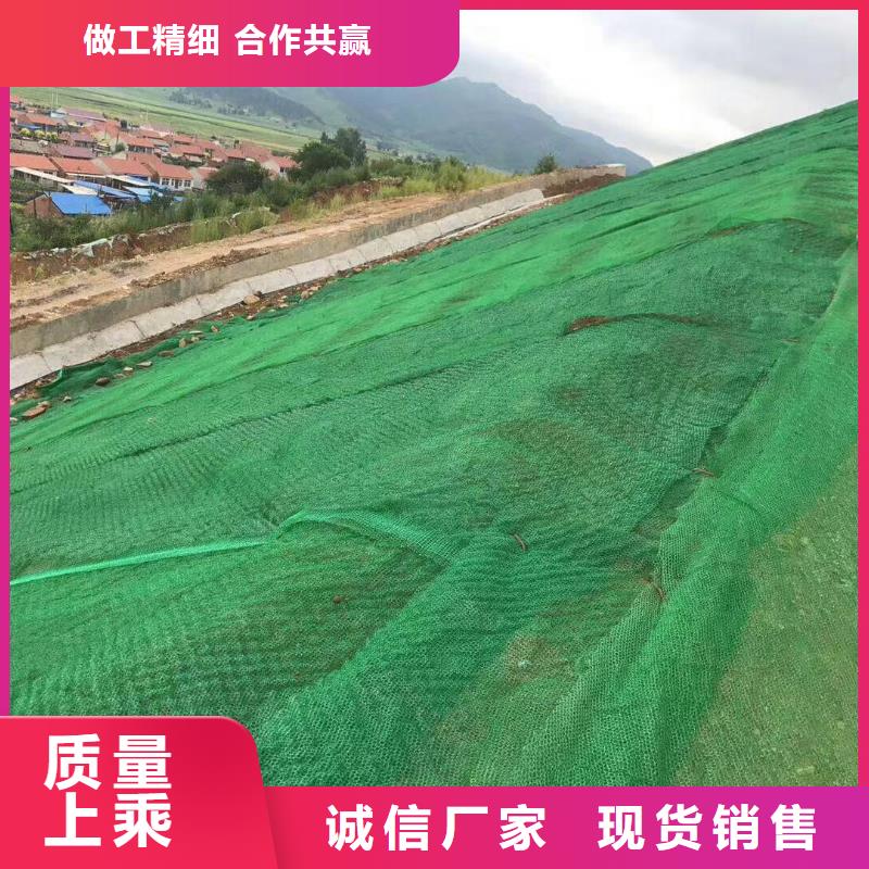 三維植被網單向塑料格柵為您提供一站式采購服務