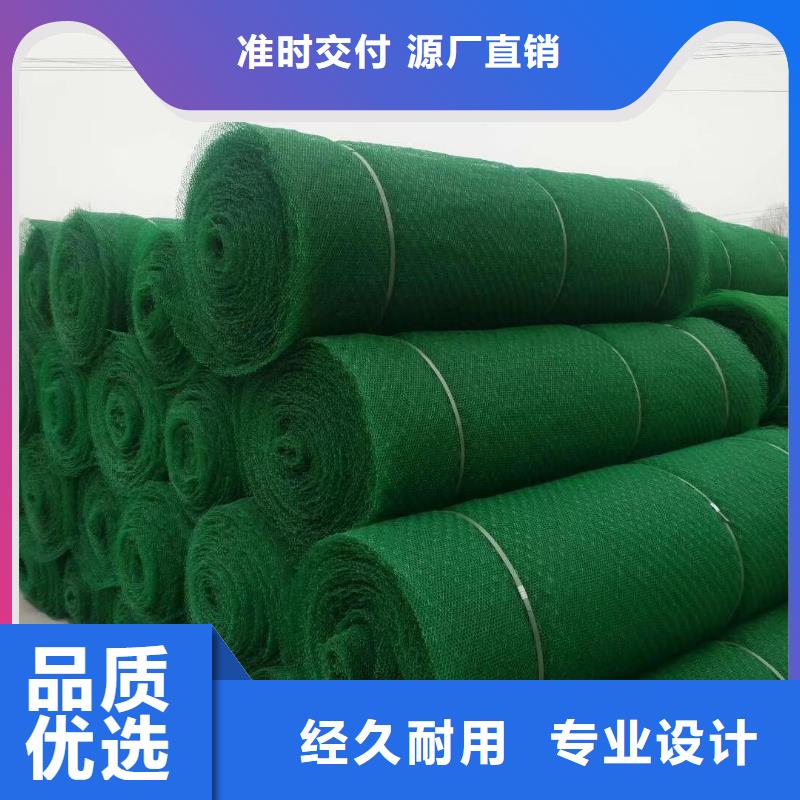 三維植被網滌綸土工格柵廠家規格全