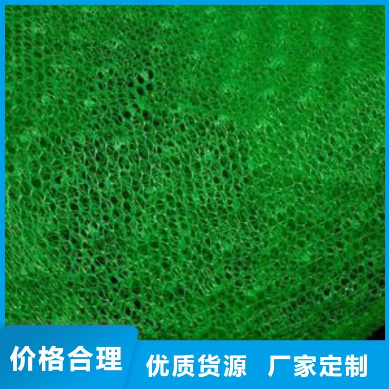三维植被网,【三维土工网垫】产地直供