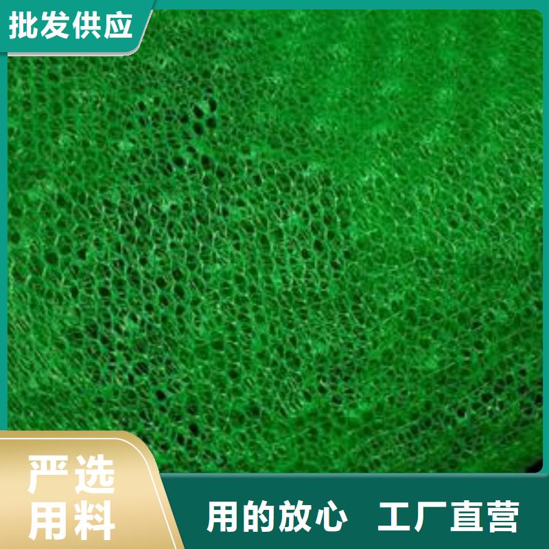 三维植被网_单向塑料土工格栅产地货源
