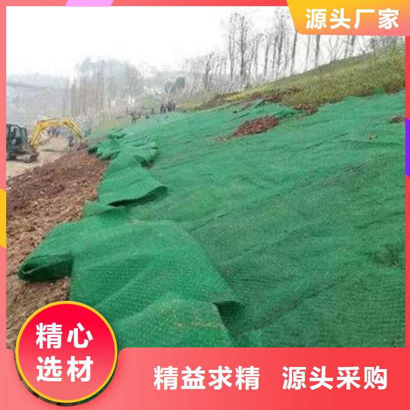 三维植被网三维土工网垫现货交易