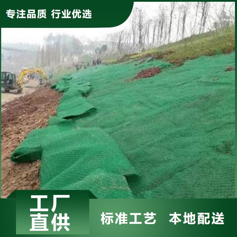 三維植被網(wǎng),玻纖土工格柵廠家直銷規(guī)格多樣