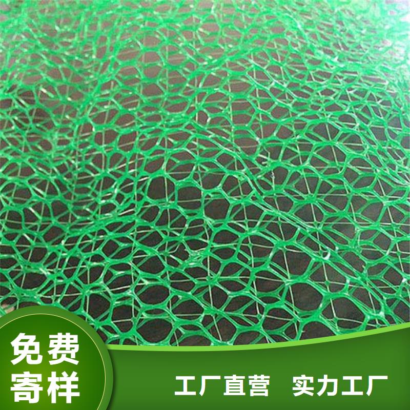 三維植被網滌綸土工格柵廠家規格全
