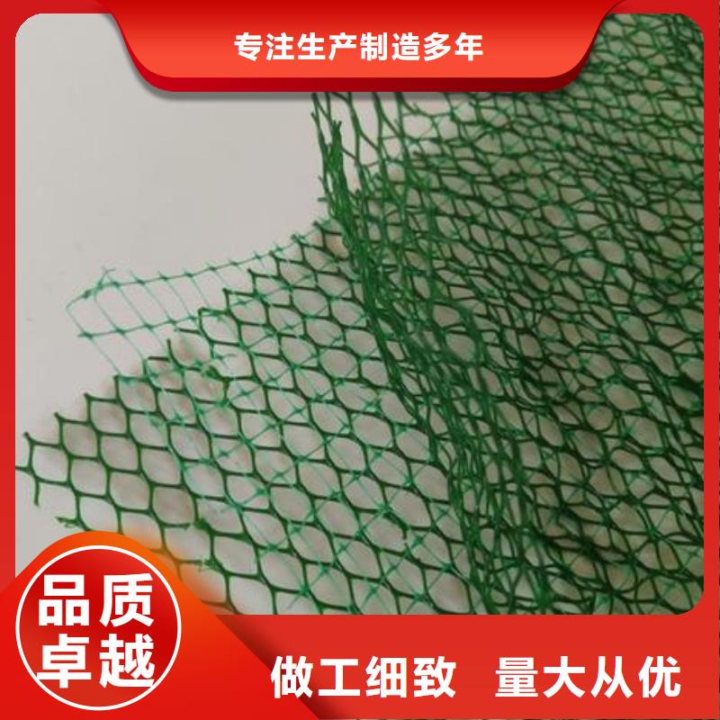 三维植被网【玻纤土工格栅】让客户买的放心