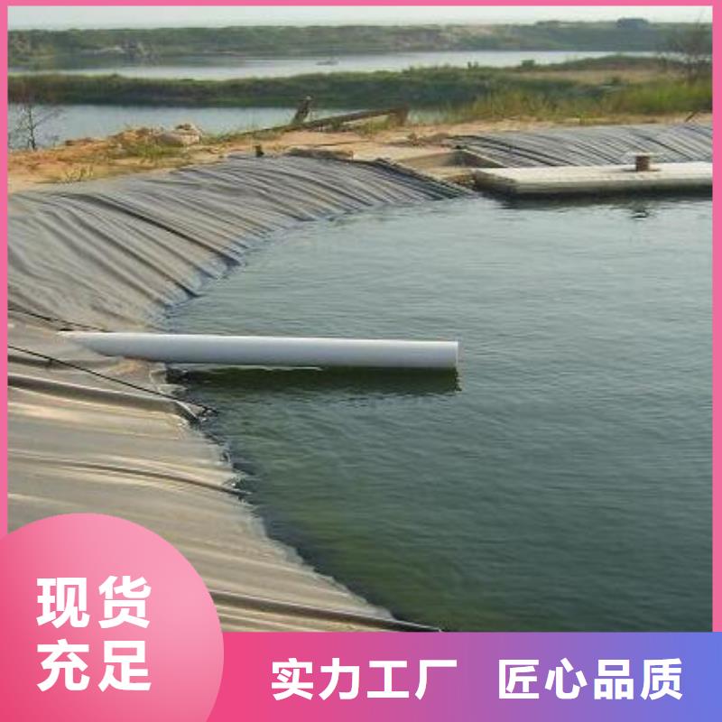 土工膜双向塑料土工格栅发货迅速