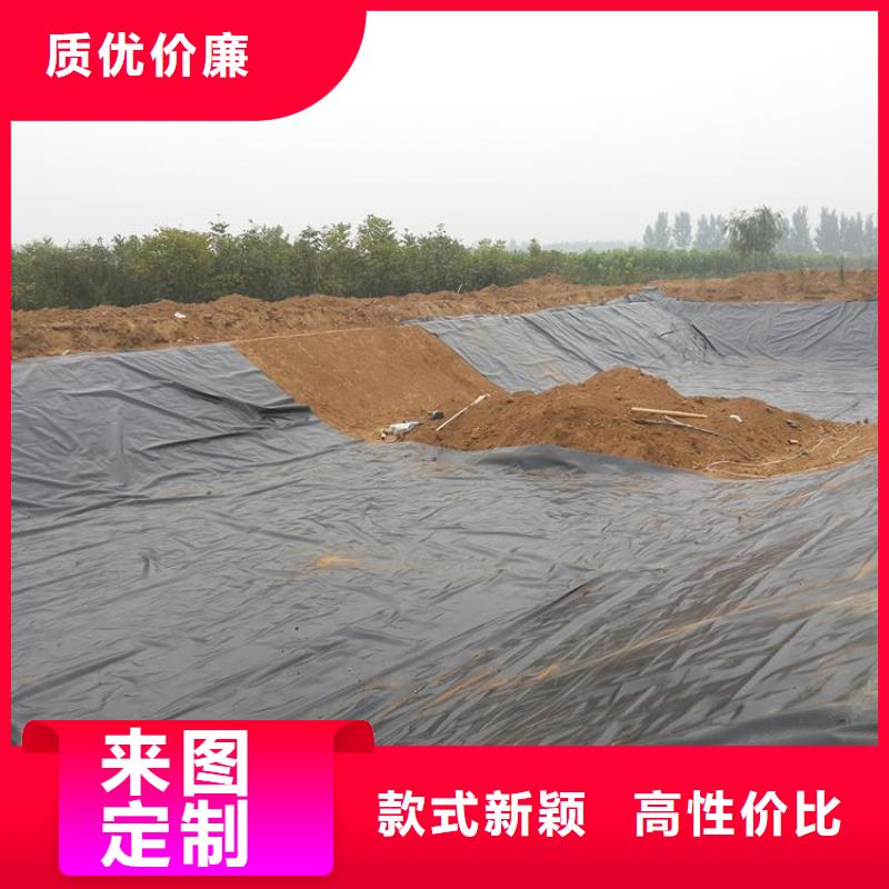 土工膜【pp焊接土工格栅】厂家新品