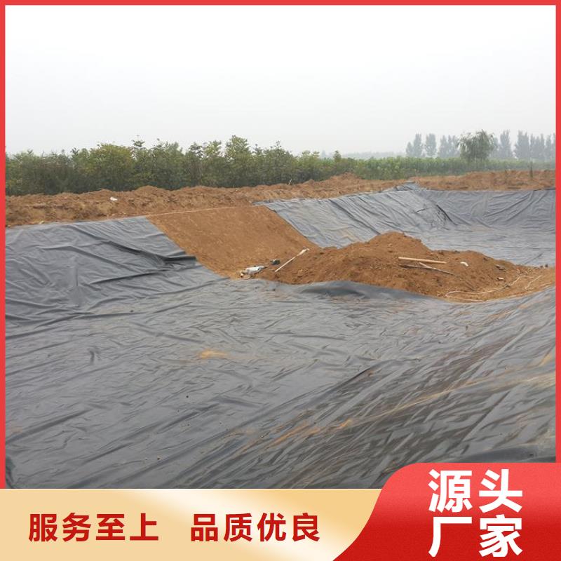 土工膜單向塑料格柵品種全