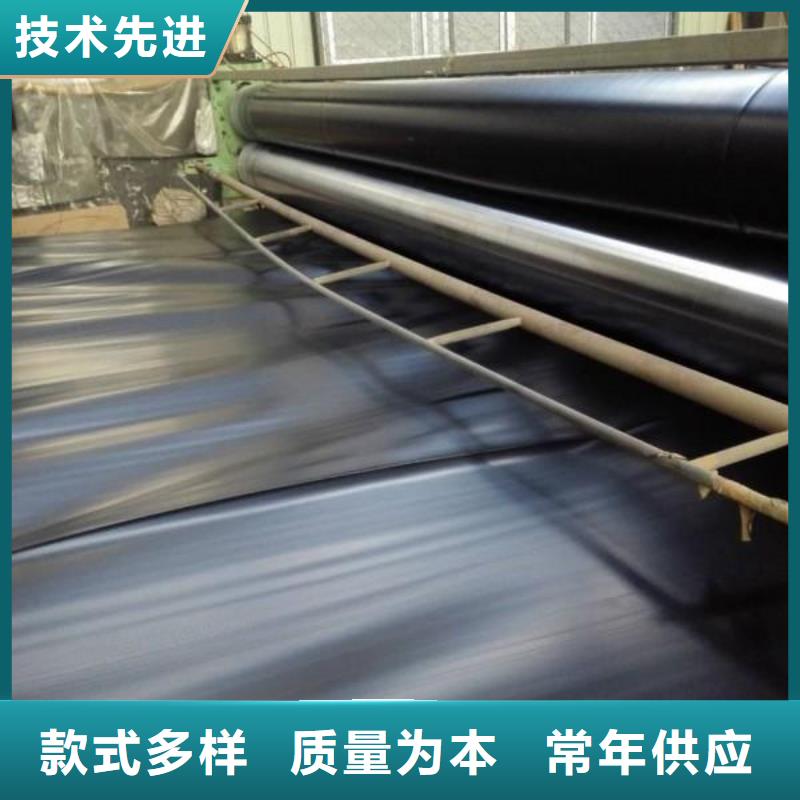 土工膜双向塑料土工格栅支持定制加工