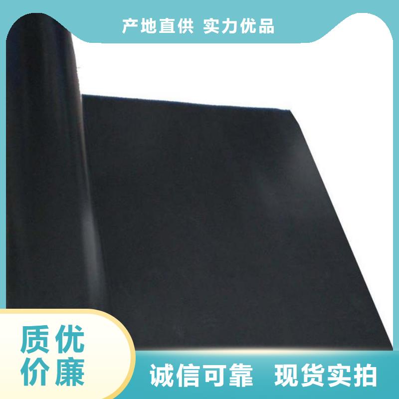 土工膜防水土工布源廠定制