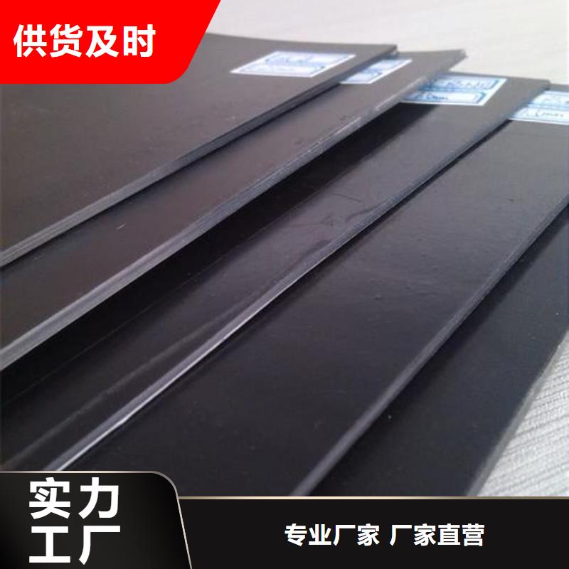 土工膜双向塑料土工格栅支持定制加工