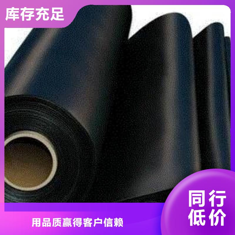 土工膜雙向塑料格柵實拍品質保障