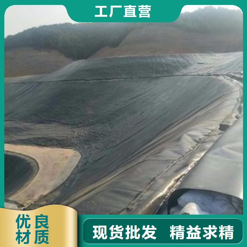 土工膜防水土工布源廠定制