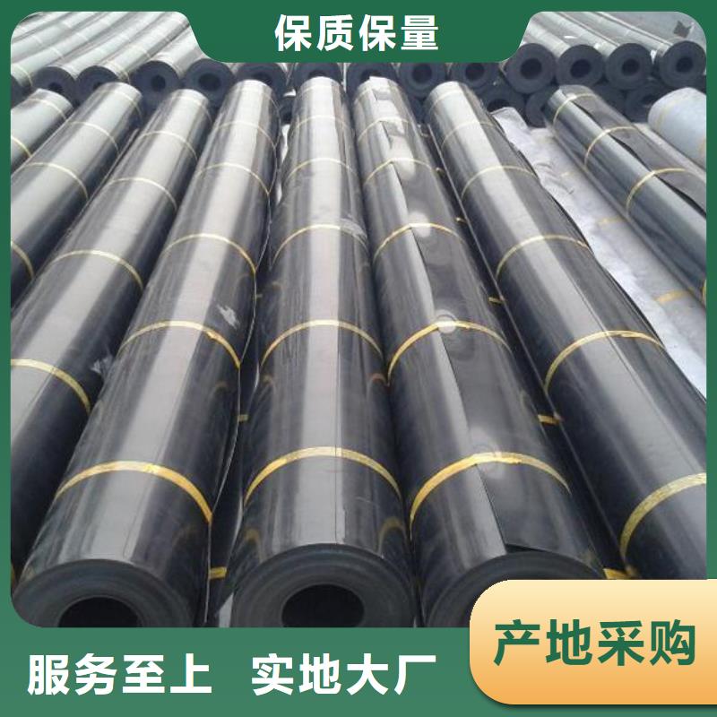 土工膜單向塑料格柵庫(kù)存齊全廠家直供