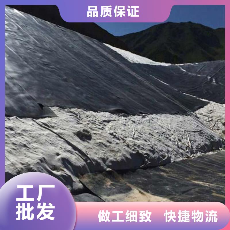 土工膜三維土工網墊專業完善售后