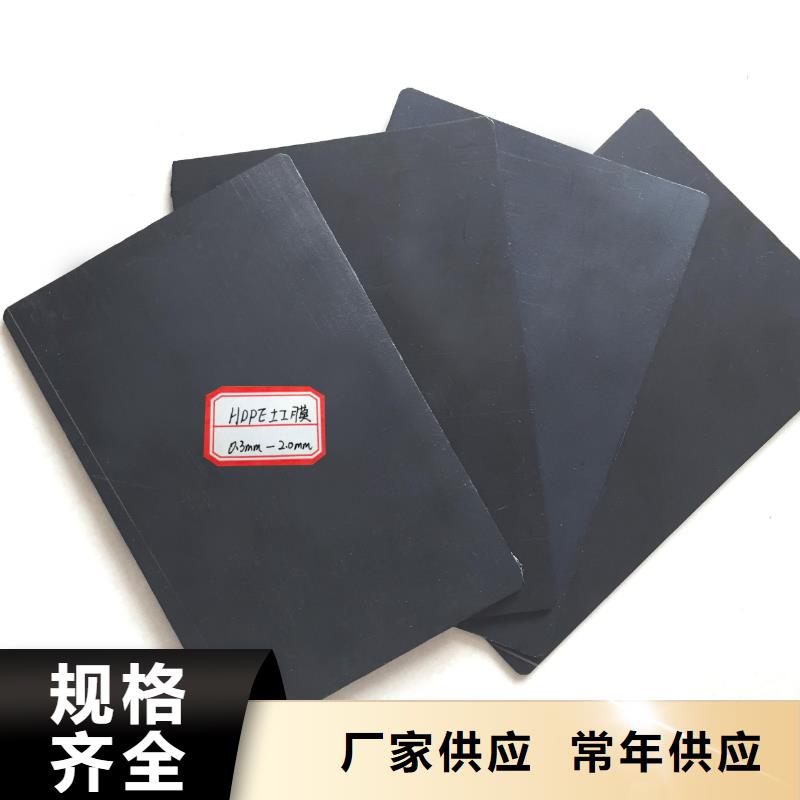 土工膜双向塑料土工格栅发货迅速