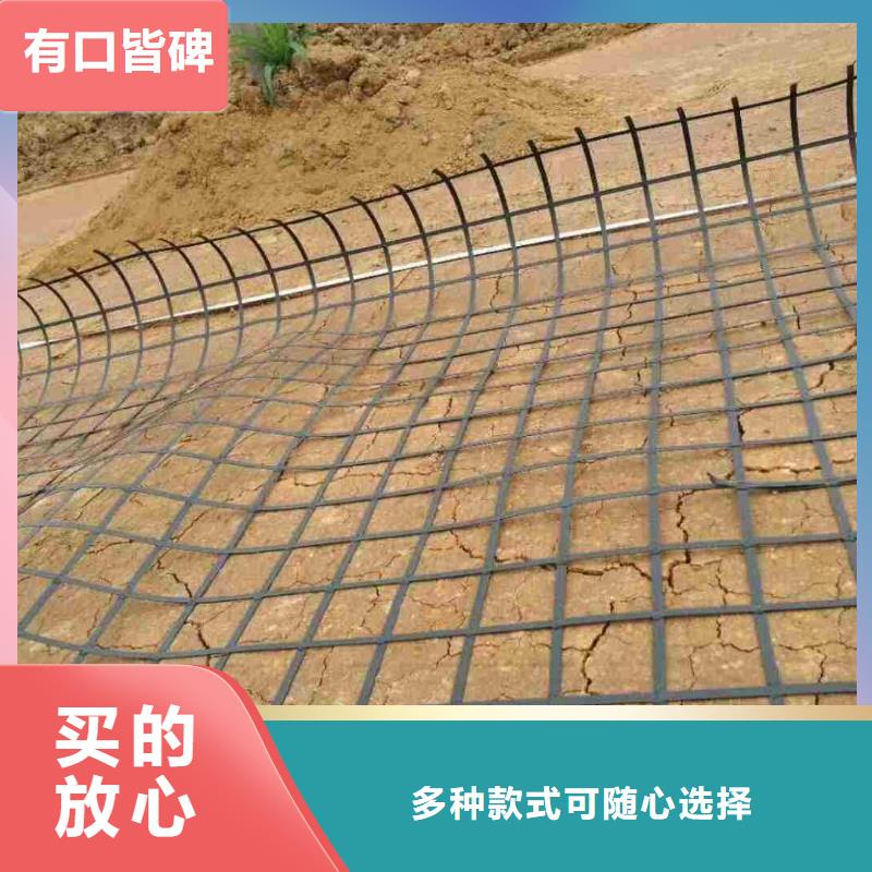 鋼塑土工格柵單向塑料土工格柵經驗豐富品質可靠