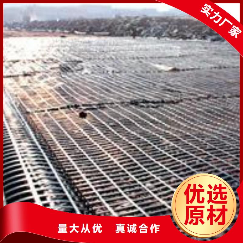 鋼塑土工格柵廠家大量現(xiàn)貨