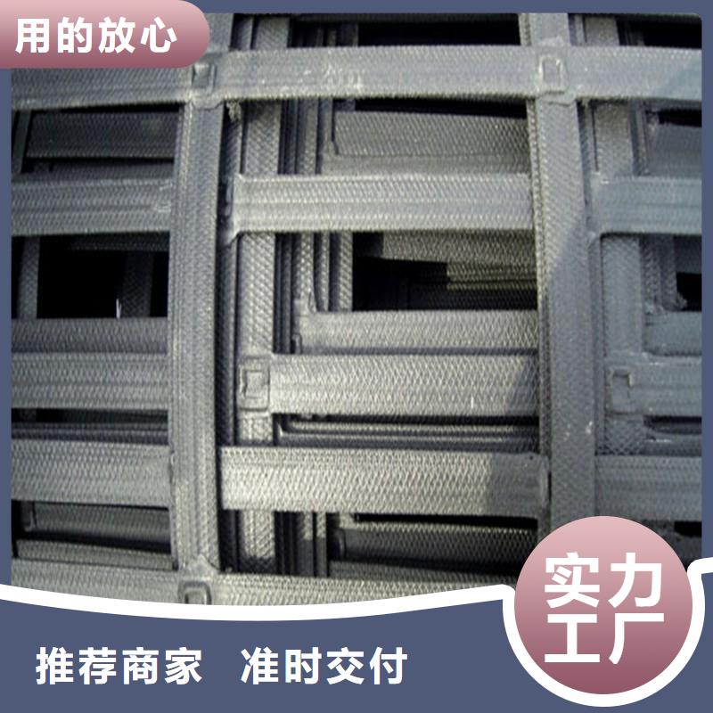 鋼塑土工格柵廠家大量現貨