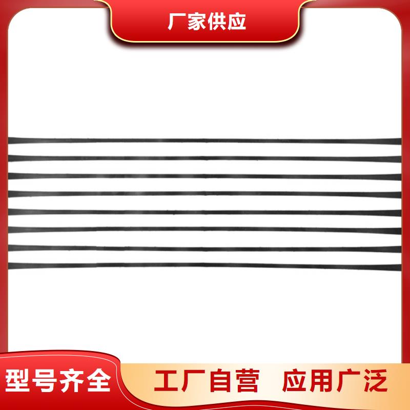 单向拉伸塑料格栅双向拉伸土工格栅厂家案例