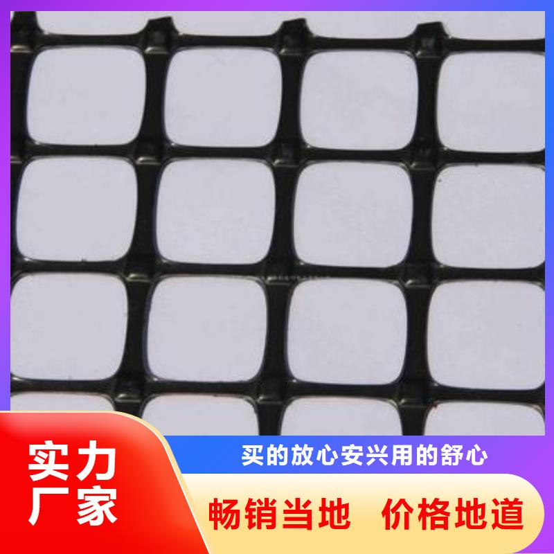雙向塑料土工格柵-水土保護毯實體廠家支持定制