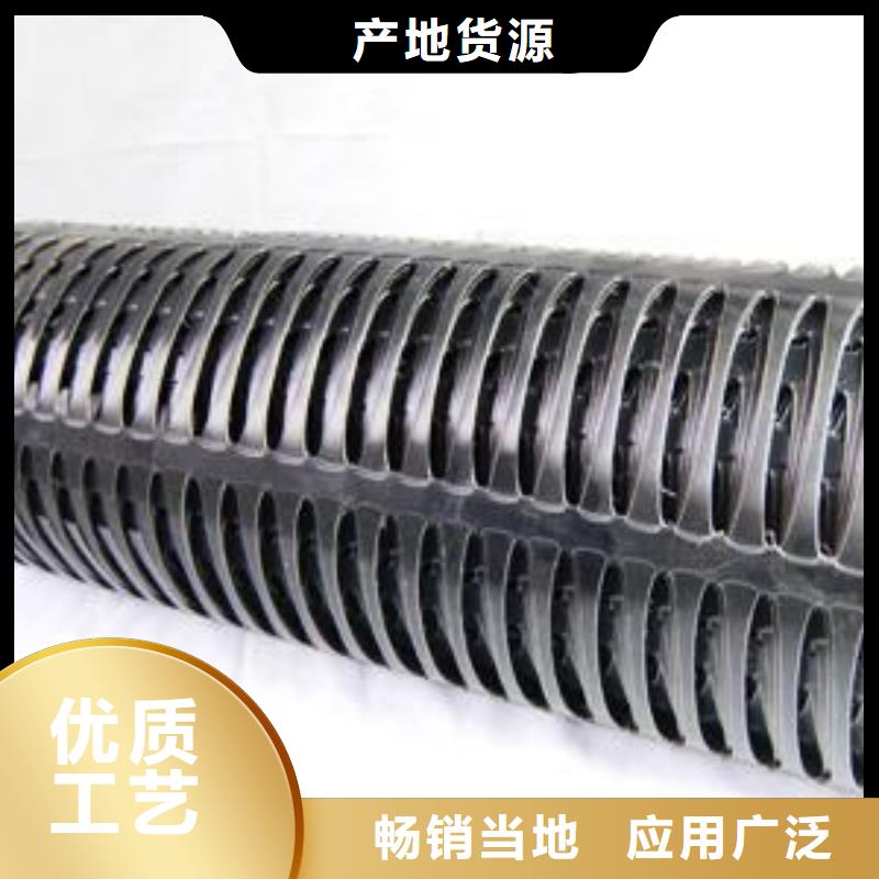 雙向塑料土工格柵三維復(fù)合排水網(wǎng)用好材做好產(chǎn)品