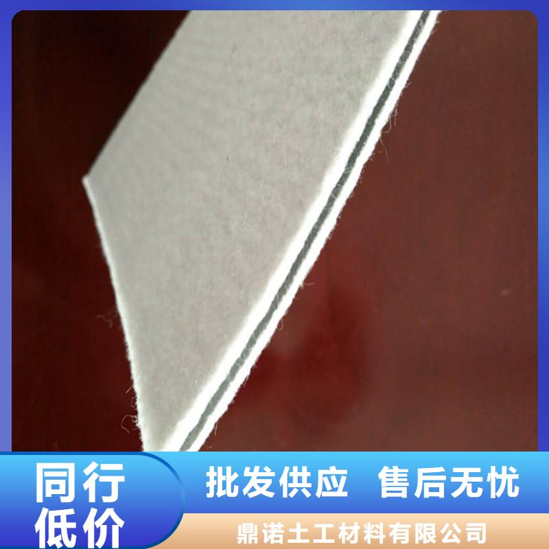 土工膜雙向塑料土工格柵專(zhuān)業(yè)信賴(lài)廠(chǎng)家