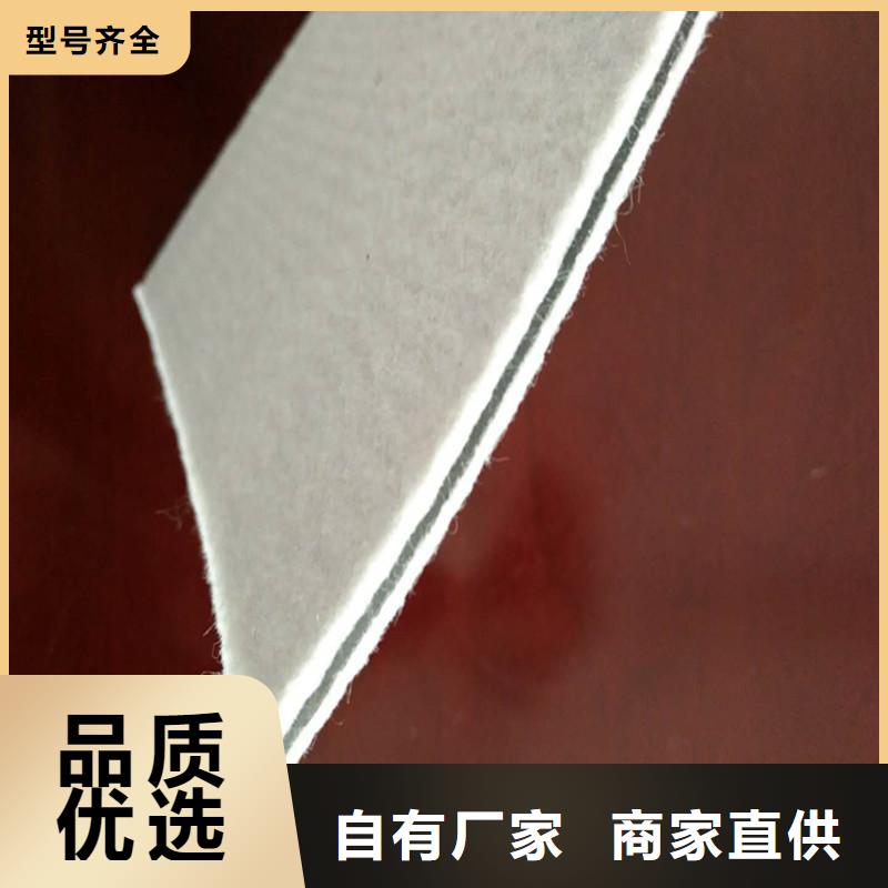 土工膜復合土工膜廠家直營