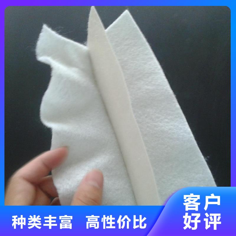 土工膜復合土工膜廠家直營