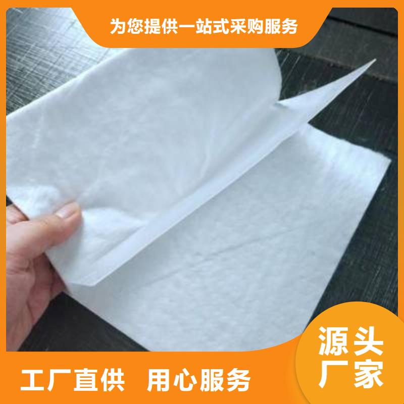 土工膜雙向塑料土工格柵源頭廠家直銷