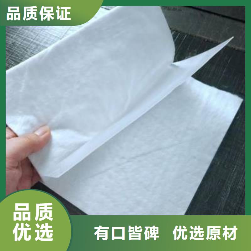 土工膜雙向塑料土工格柵專(zhuān)業(yè)信賴(lài)廠(chǎng)家