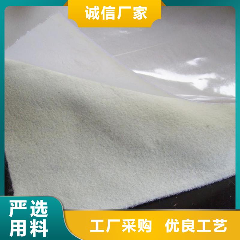 土工膜【土工布】老品牌廠家