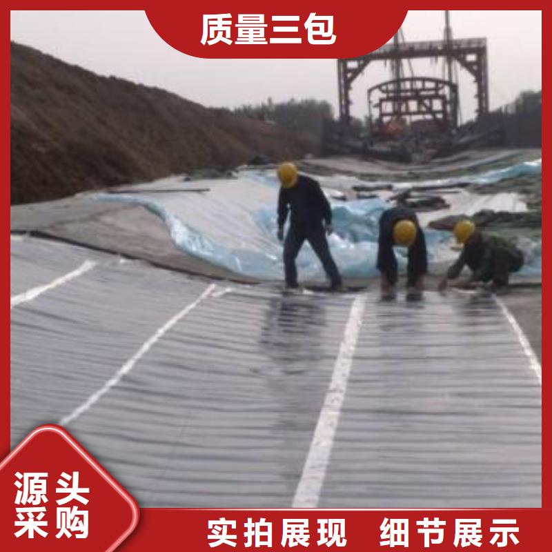 土工膜護坡土工網誠信經營現貨現發