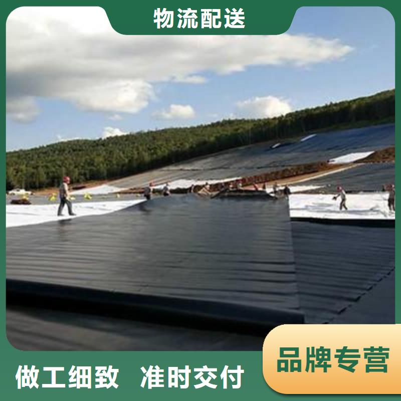 土工膜雙向塑料土工格柵源頭廠家直銷