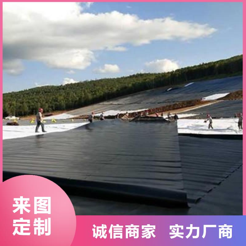 土工膜護坡土工網(wǎng)核心技術(shù)