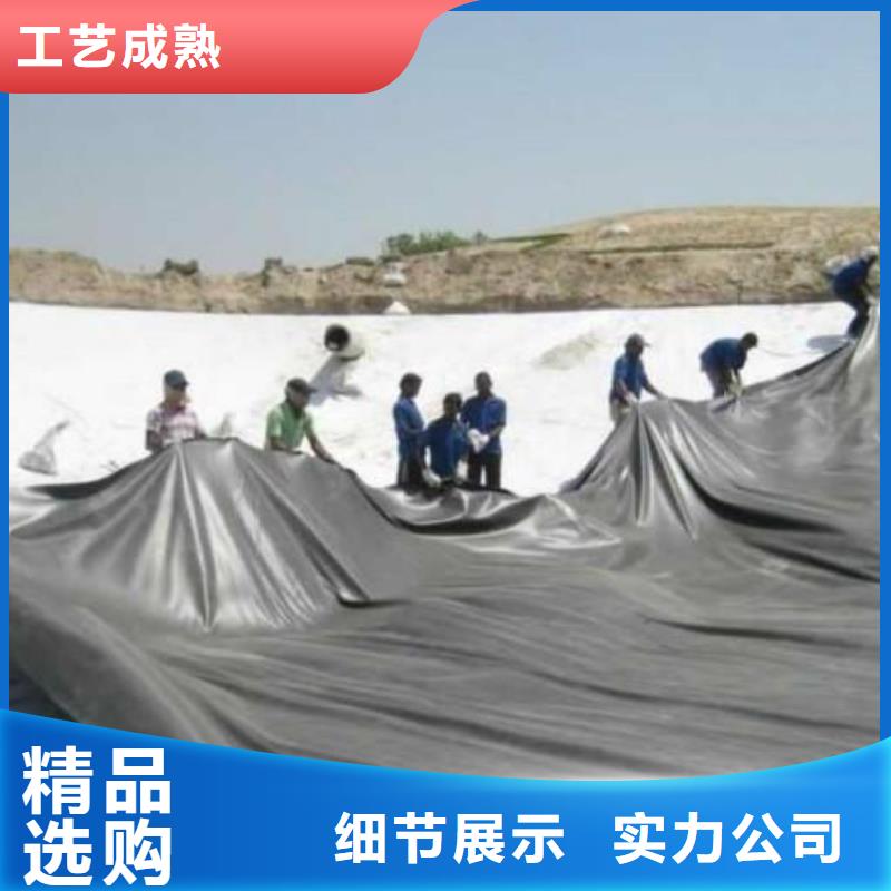 【土工膜】滌綸土工格柵廠家直銷直供