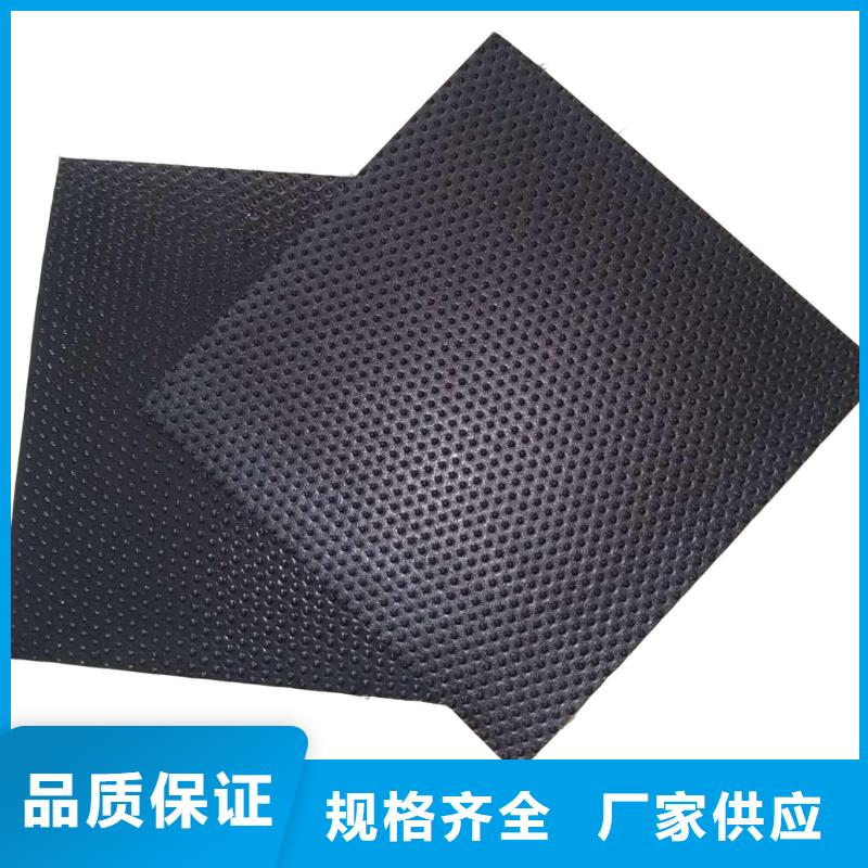 土工膜復合土工膜廠家直營
