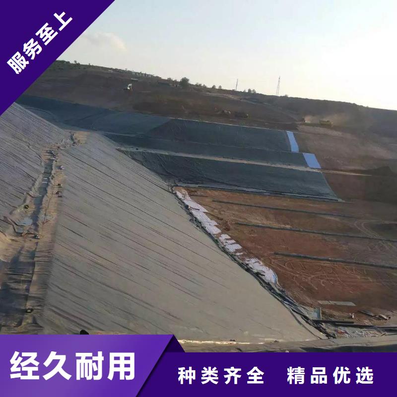 【土工膜】玻纤格栅厂家货源稳定