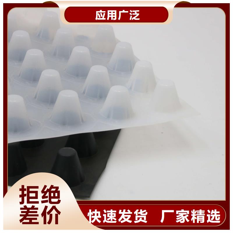 蓄排水板,三維植被網實力廠家直銷