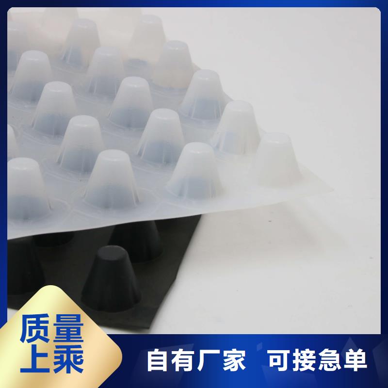 蓄排水板單向拉伸塑料格柵款式多樣