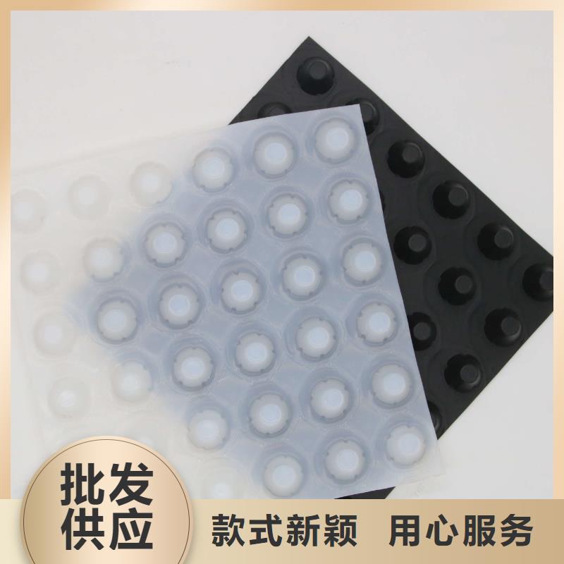 蓄排水板雙向塑料土工格柵服務始終如一
