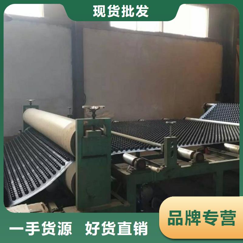 蓄排水板單向塑料土工格柵使用壽命長久