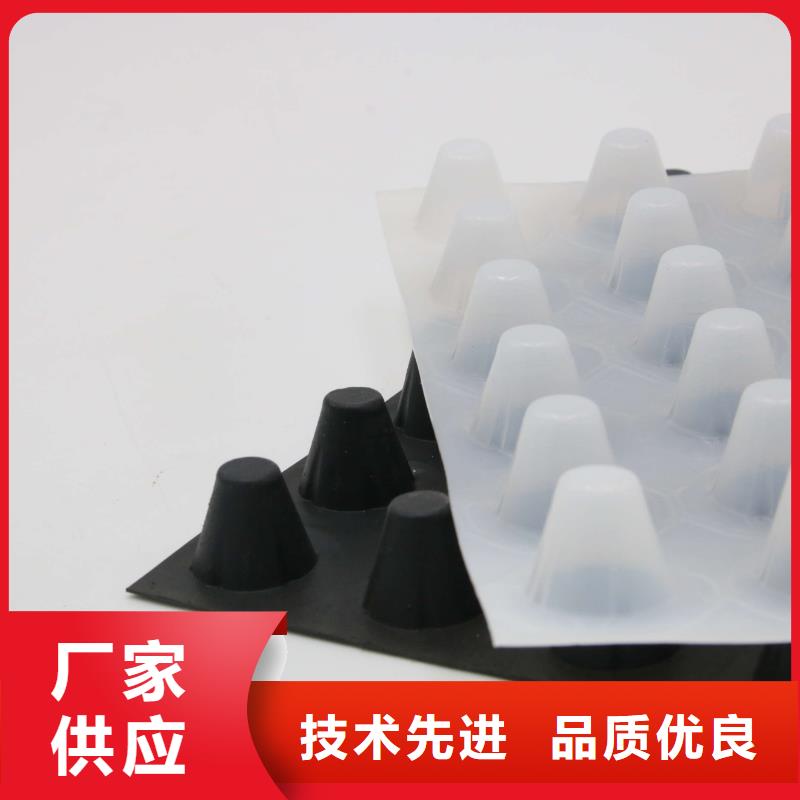 蓄排水板單向拉伸塑料格柵款式多樣