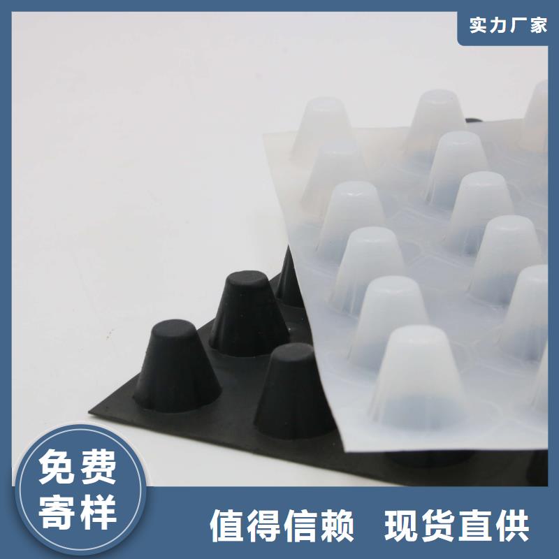 蓄排水板雙向塑料土工格柵精挑細選好貨