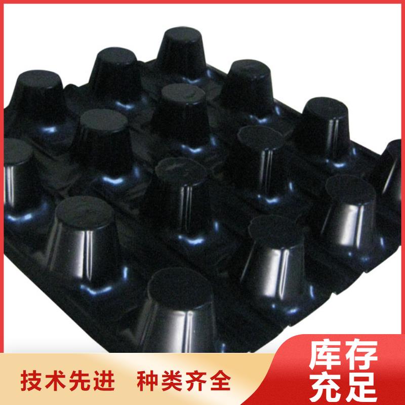 蓄排水板三維植被網(wǎng)現(xiàn)貨滿足大量采購